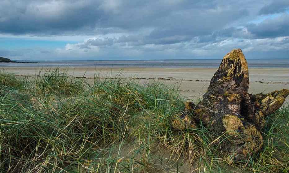 Réserve naturelle baie de Saint Brieuc