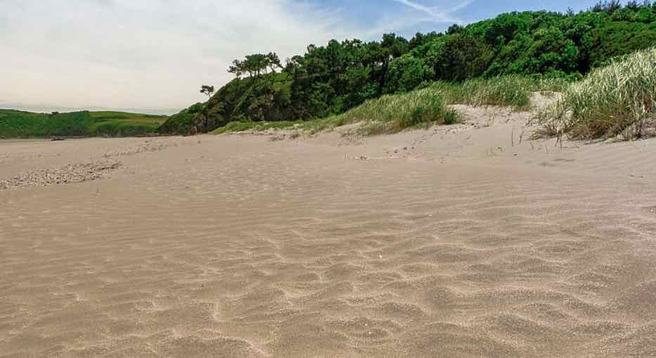 Réserve naturelle baie de Saint Brieuc